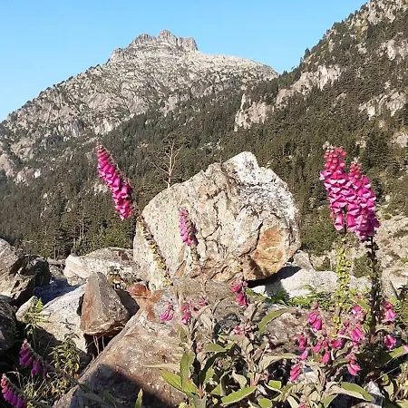 公寓 2 Pieces, 4 Couchages A Proche Thermes - Fr-1-234-135 *