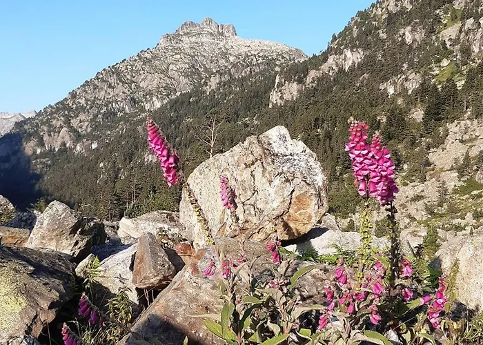 Appartement Cosy à Cauterets, Proche Thermes Et Pistes - Fr-1-234-135 *